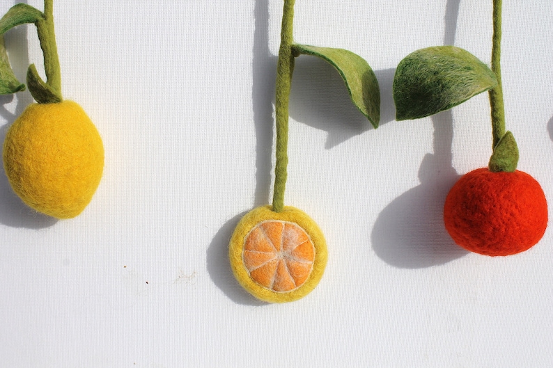 Magic fruits as a decoration for the kitchen window Zitronenscheibe