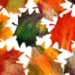 10 x maple leaves felted in bright colors for the season tablecloth, carnival costume, carnival or for decoration image 2