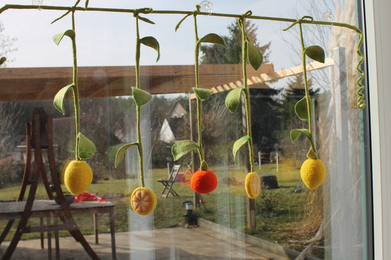 Magic fruits as a decoration for the kitchen window image 4