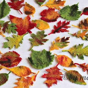 Leaves, maple leaves in colored, set of 10, felted for the season table or as decoration for the apartment image 4