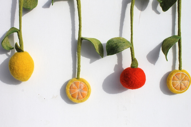 Magic fruits as a decoration for the kitchen window image 5