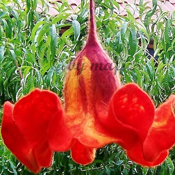 Blüten, Fensterdekoration, rote Blüten, Brautgeschenk, Wohnungs dekoration, Blumen für das Fenster,