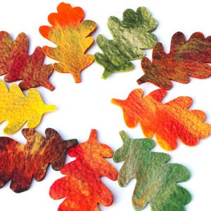 May include: A selection of colourful felt oak leaf cutouts in shades of yellow, orange, red, and green. The leaves are arranged in a circular pattern against a white background, evoking an autumn theme. These decorative leaves are ideal for crafting and seasonal decor.