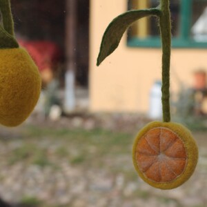 Magic fruits as a decoration for the kitchen window Zitrone