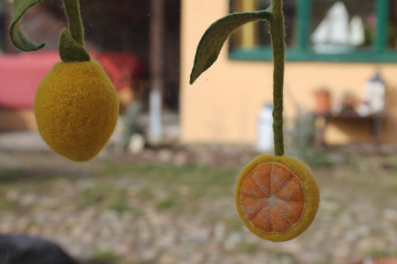 Magic fruits as a decoration for the kitchen window Zitrone