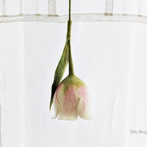 Tulip white pink large flower decoration for the window