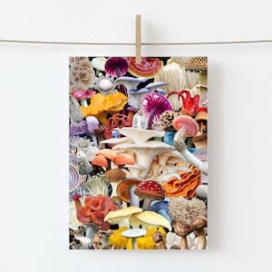 UITVERKOOP | Paddo's Verjaardagsgroet Wilde paddestoelen Schimmels Kitsch Flamingo Vintage Magisch Esthetisch Gamer Veganistisch psychedelisch Drugs Cottagecore