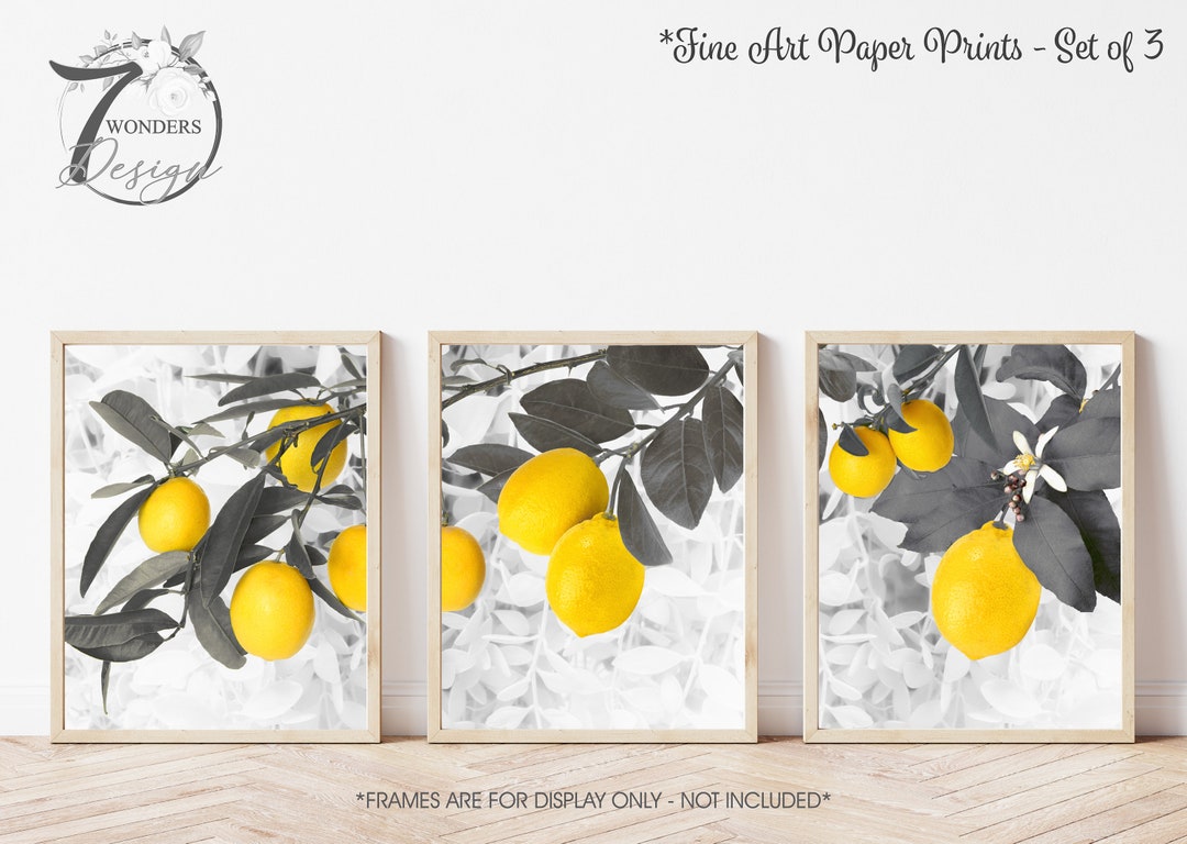 Kitchen Lemon Wall Art Prints, Modern Farmhouse Yellow Gray Real Lemons ...