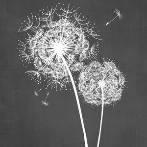 Dandelion Wall Art Prints, Charcoal Grey Flower Art, Living Room Bedroom Bathroom Floral Decor Set of 3 Unframed Paper Prints or Canvas image 4