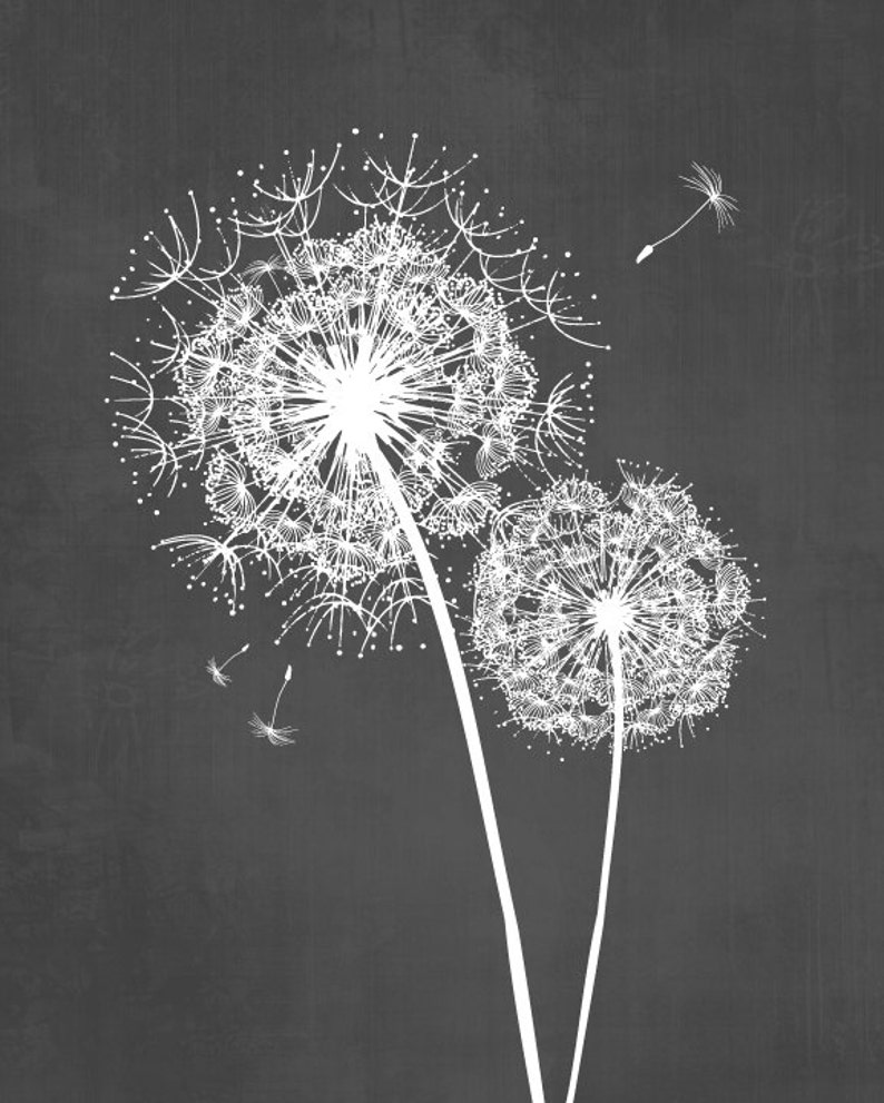 Dandelion Wall Art Prints, Charcoal Grey Flower Art, Living Room Bedroom Bathroom Floral Decor Set of 3 Unframed Paper Prints or Canvas image 4