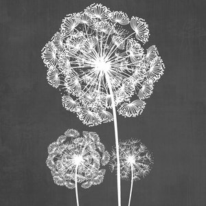 Dandelion Wall Art Prints, Charcoal Grey Flower Art, Living Room Bedroom Bathroom Floral Decor Set of 3 Unframed Paper Prints or Canvas image 3