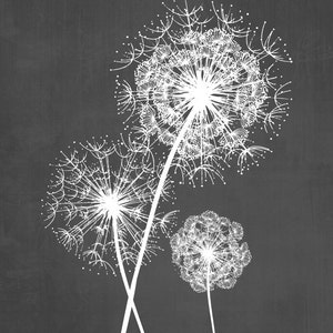 Dandelion Wall Art Prints, Charcoal Grey Flower Art, Living Room Bedroom Bathroom Floral Decor Set of 3 Unframed Paper Prints or Canvas image 2