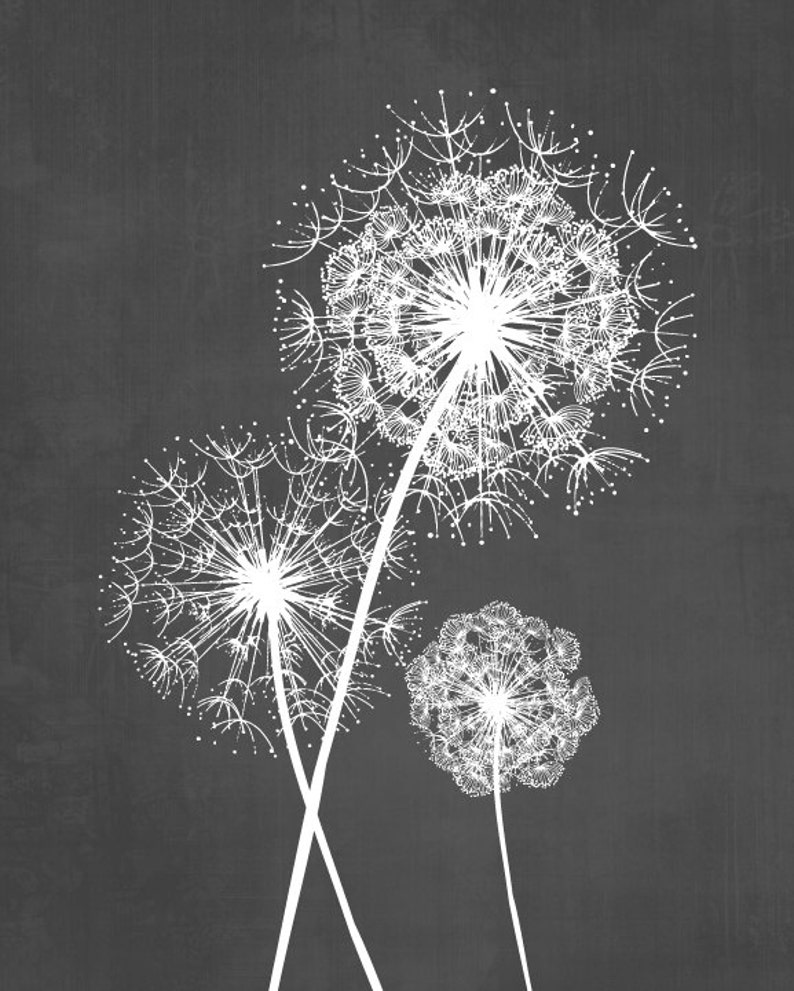 Dandelion Wall Art Prints, Charcoal Grey Flower Art, Living Room Bedroom Bathroom Floral Decor Set of 3 Unframed Paper Prints or Canvas image 2