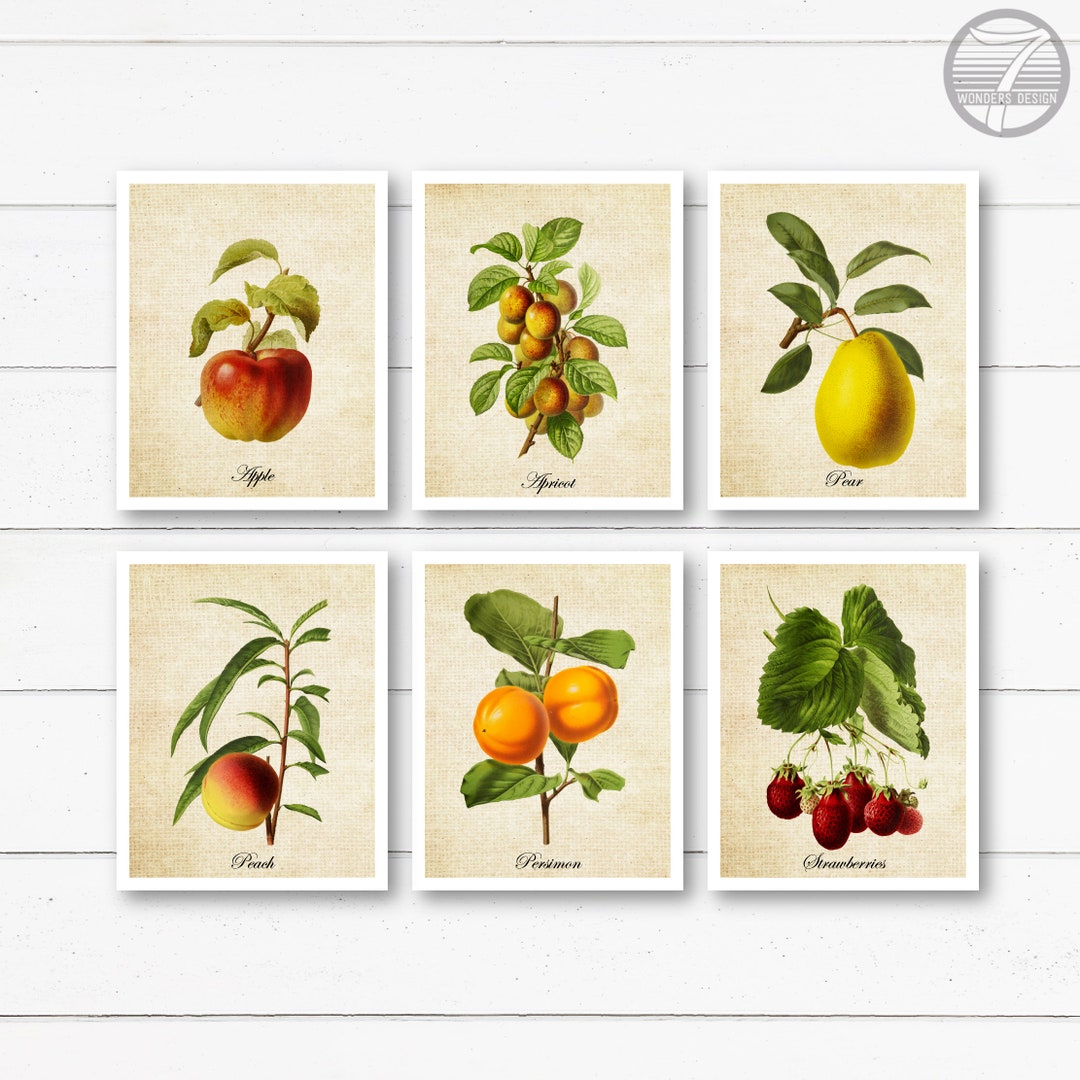 kitchen gallery wall art set of 6, vintage fruit... Vintage Garden Fruit Kitchen Art, Farmhouse Wall Decor, Cottage Kitchen ...
