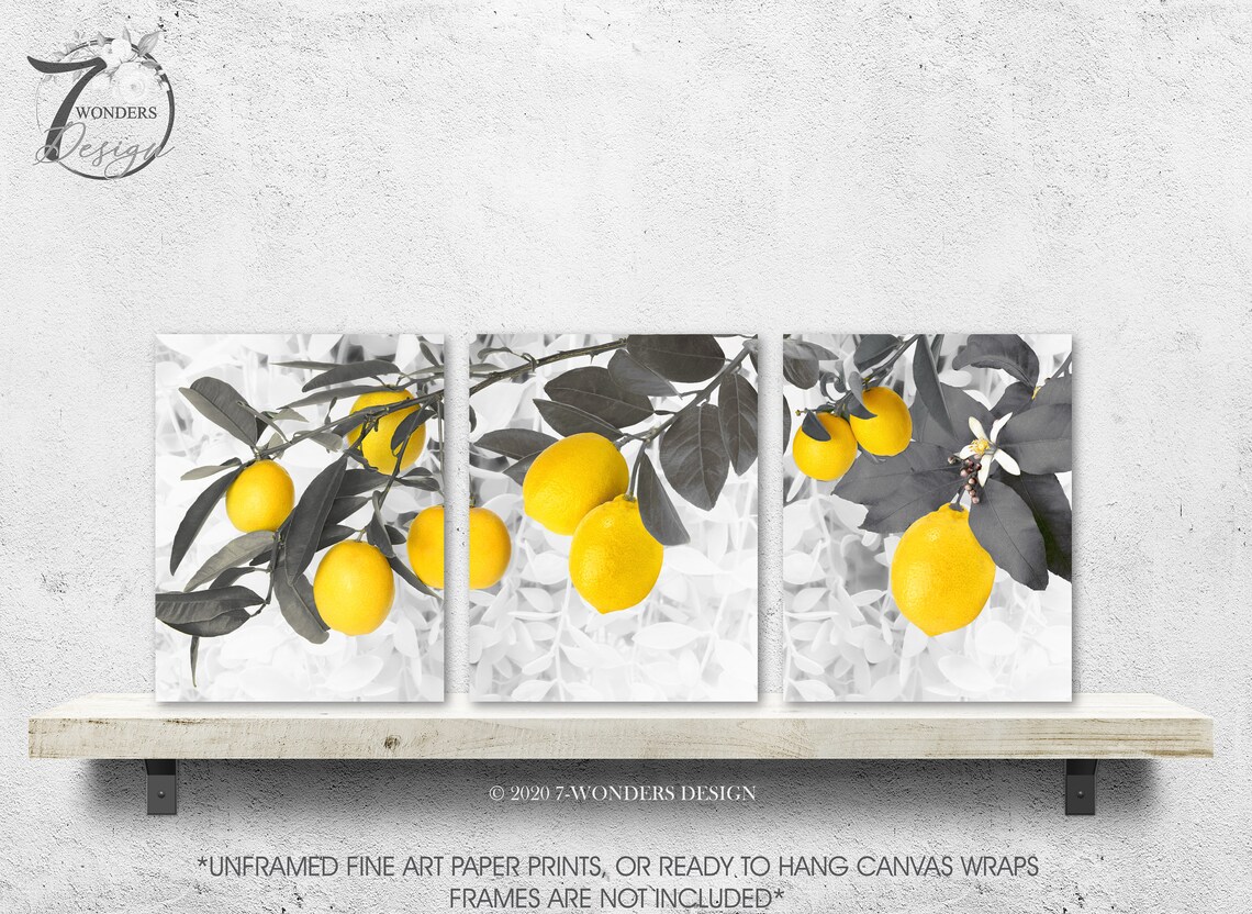 Kitchen Lemon Wall Art Prints, Modern Farmhouse Yellow Gray Real Lemons ...