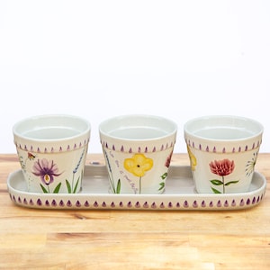 Vintage Handpainted Flower Pot Set of Three with Tray, Floral Bee Herb Planters