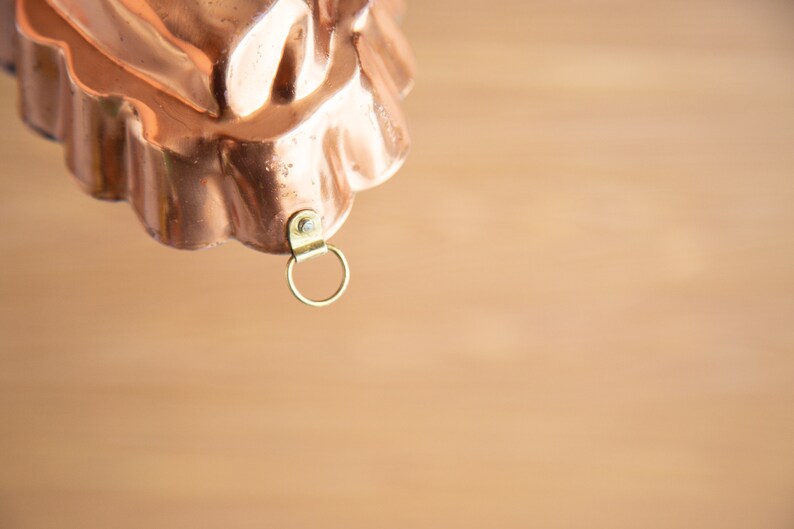 Midcentury Copper Fish Jello Mold Food Pate Mold Tin Lined Etsy