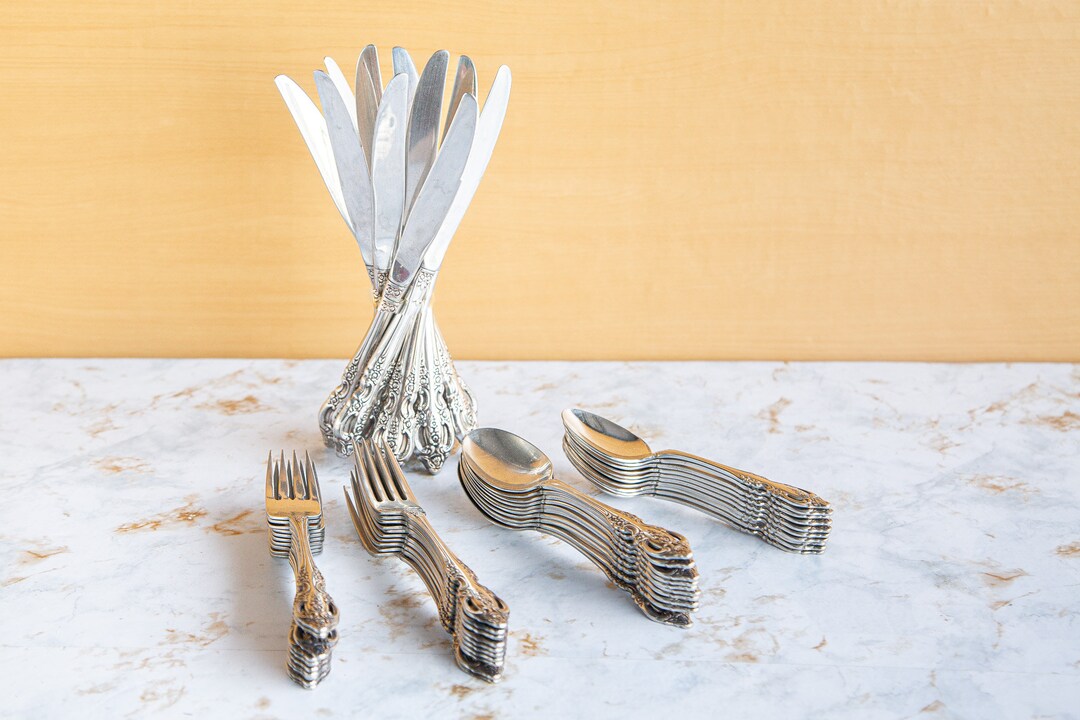 Vintage Oneida Stainless Steel Silverware Michelangelo Pattern Service