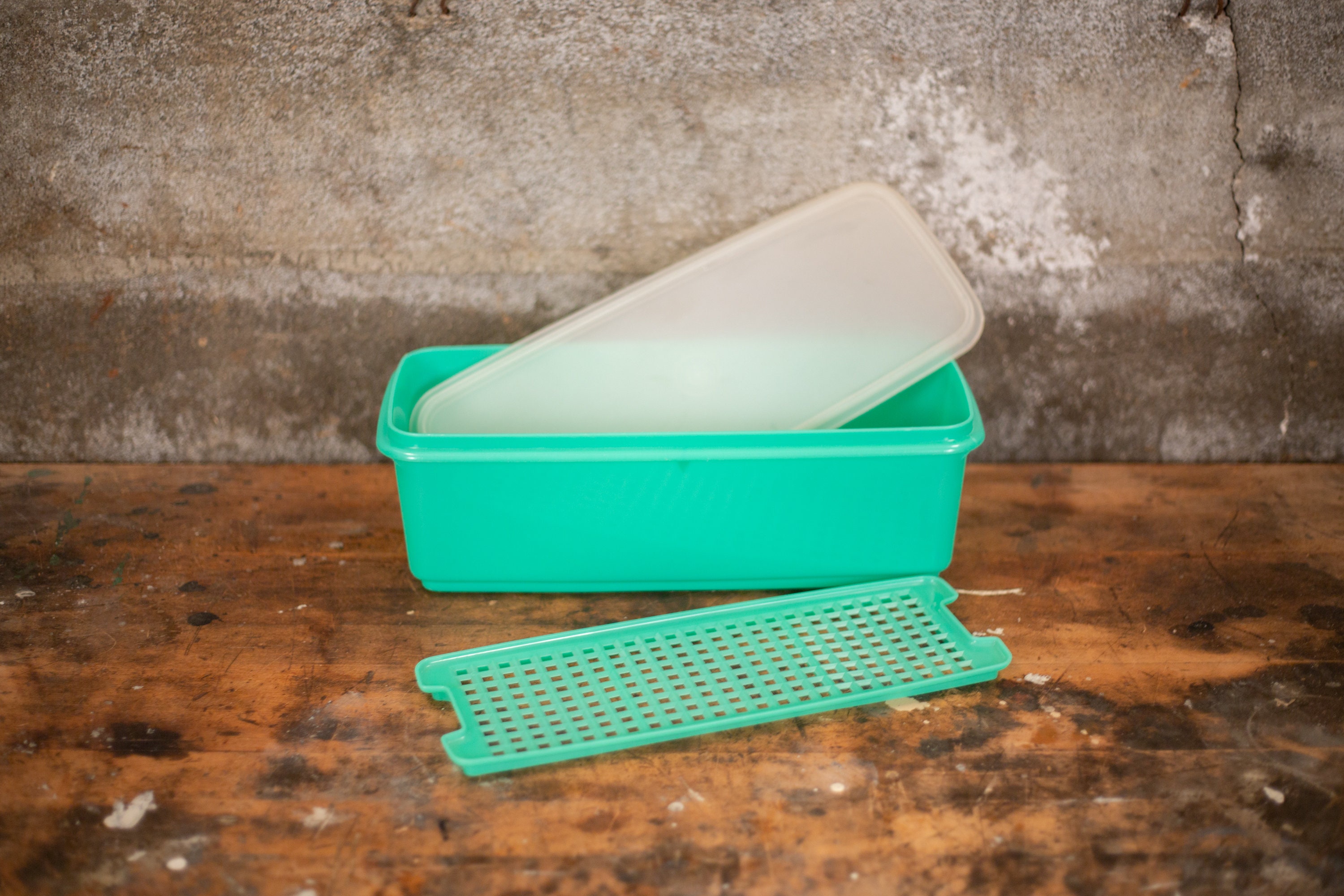 Vintage Tupperware Celery Keeper Set: Jade Green Vegetable Storage