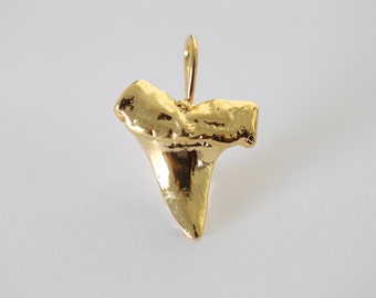 Vermeil Gold Shark Tooth Pendant with Bail 03 - shark tooth charm with attached bail, 18k gold plated over sterling silver