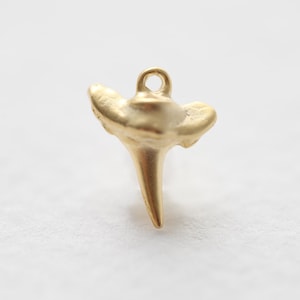 Op de afbeelding: Gouden haaientand hanger. De tand is gedetailleerd en realistisch, met een puntige punt en een getextureerd oppervlak.