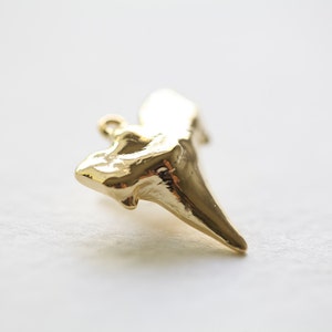 Large Shark Tooth Pendant 02 vermeil gold shark tooth charm, 18k gold plated over sterling silver image 2