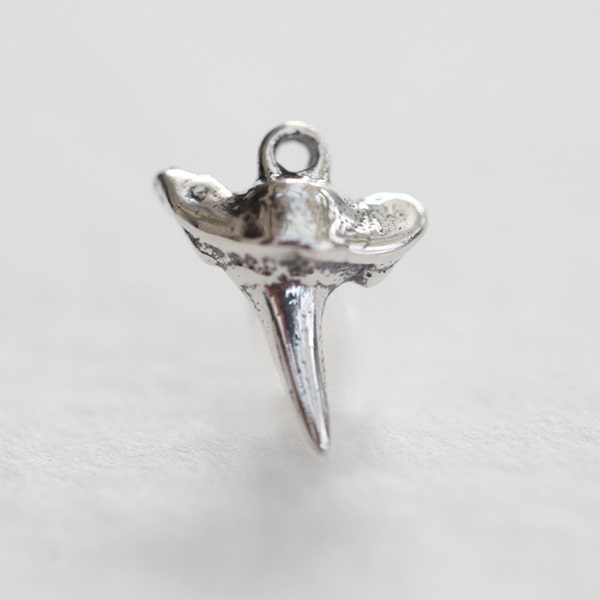 Sterling Silver Small Shark Tooth Pendant 07 - small 925 silver shark tooth charm,