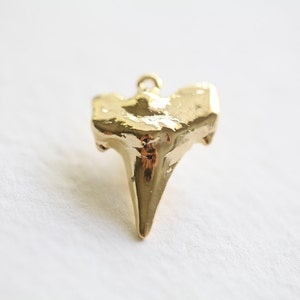 Large Shark Tooth Pendant 02 vermeil gold shark tooth charm, 18k gold plated over sterling silver image 1