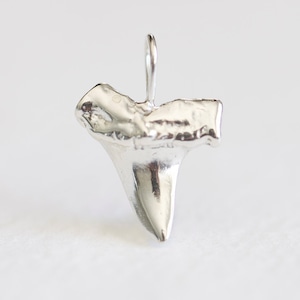 Sterling Silver Shark Tooth Pendant with Bail 03 - shark tooth charm with attached bail, 925 sterling silver, sea marine animal rustic