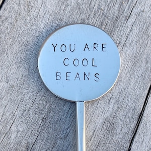 May include: A silver metal garden marker with a round top and a long stem. The top has the text "You are cool beans" engraved on it.