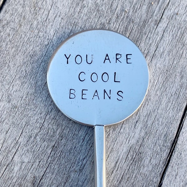 Coffee stirrer, coffee lover, java junkie, coffee bar, coffee accessories, coffee humor, coffee gift, teacher fuel, you are cool beans,