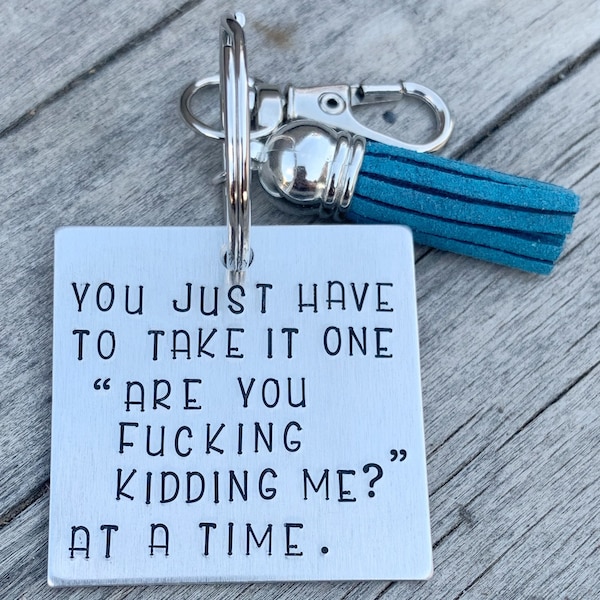 Snarky humor,are you fucking kidding me,sweary gifts,swear word keychain,mom gift,Mother’s Day gift,take it one day at a time