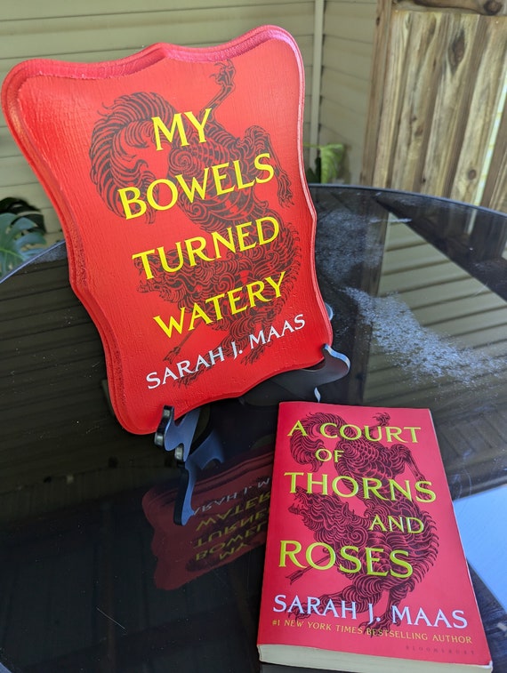ACOTAR Book Cover Wood Plaque Funny Quote
