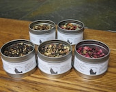 5 Tee-Sampler Set Chai Tees (5 Tassen Tee in jeder Probe)