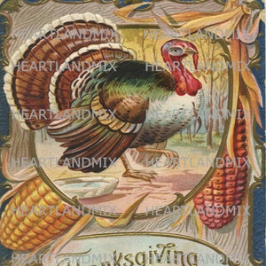 Vintage Thanksgiving Turkey Post Card Wall Art/cards/hang Tags ...