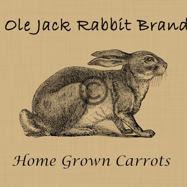 Primitive Jack Rabbit Hare Transfer/Labels/Logos/Tags Digital Download Printable