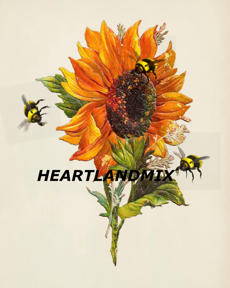 Vintage Floral Digital Sunflower Bees Wall - Etsy