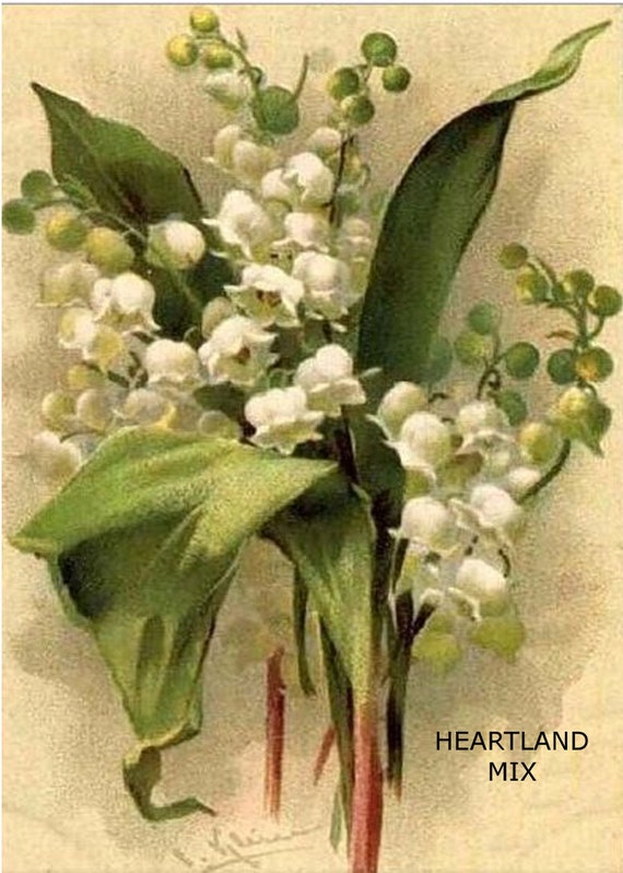 Vintage Lily of the Valley Floral Download Printable Wall Art | Etsy