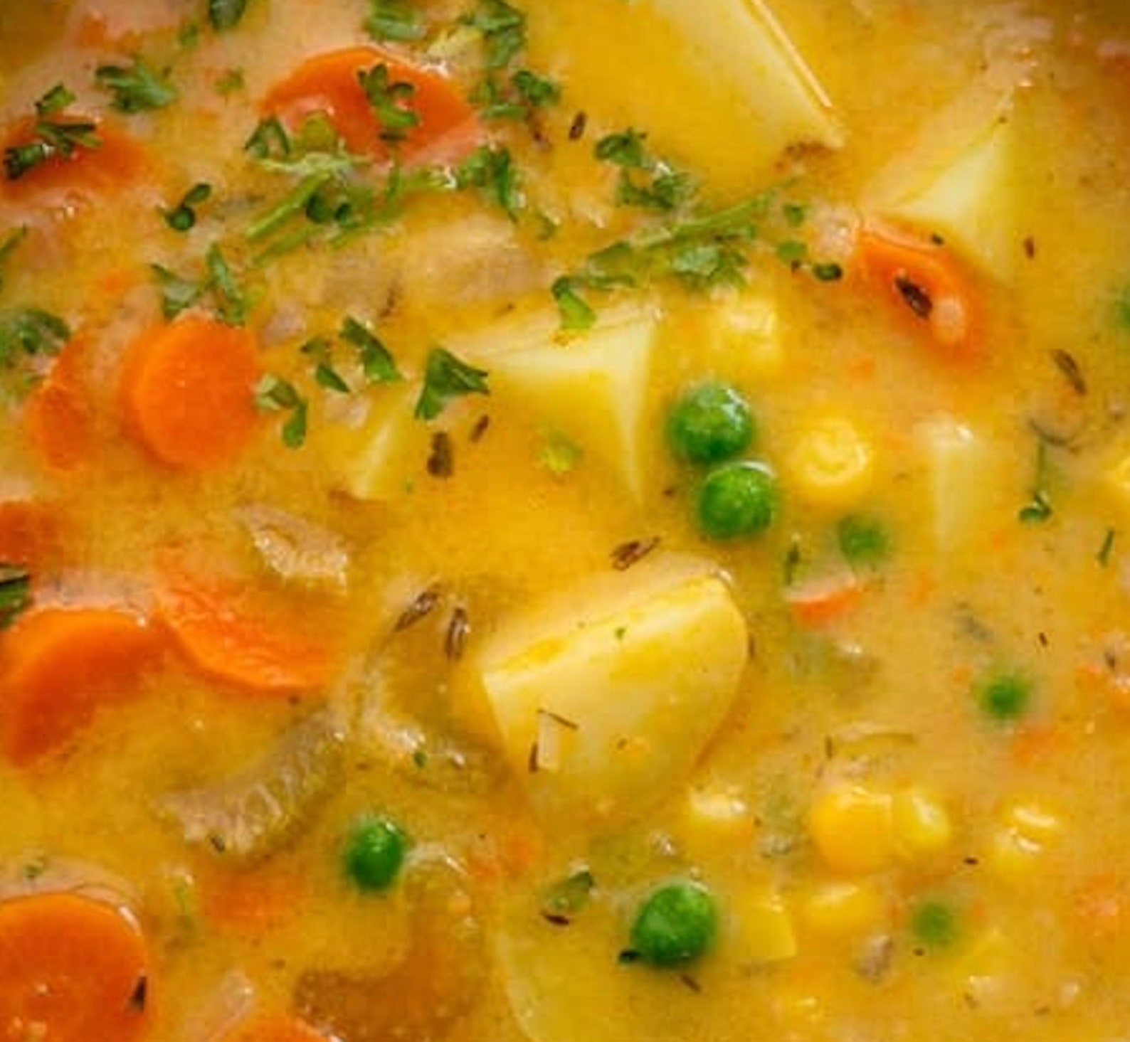 Grandma's Creamy Vegetable Soup Recipe Digital Download Etsy