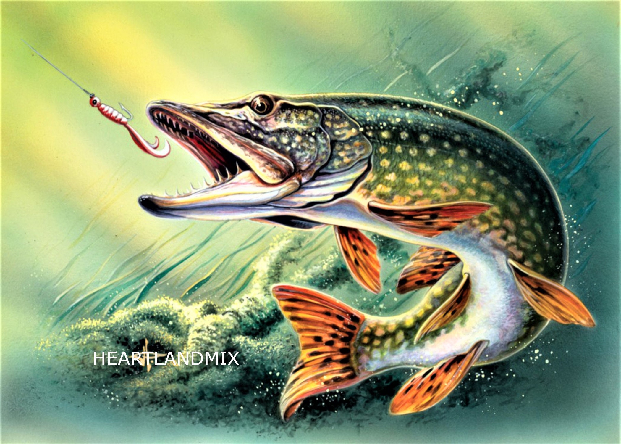 Pike Fish Vintage Digital Wall Art Graphic Image Download