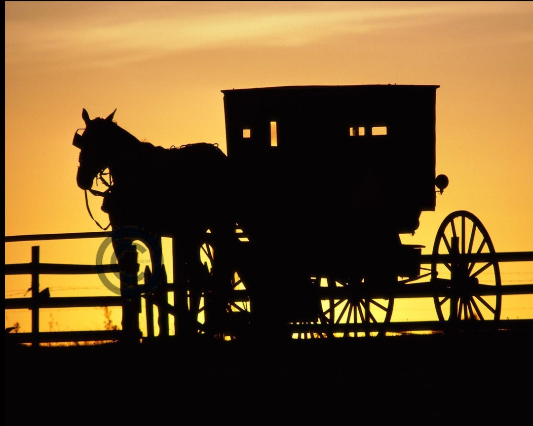 Amish Buggy at Sunset Digital Download Photo Wall Art Printable Art
