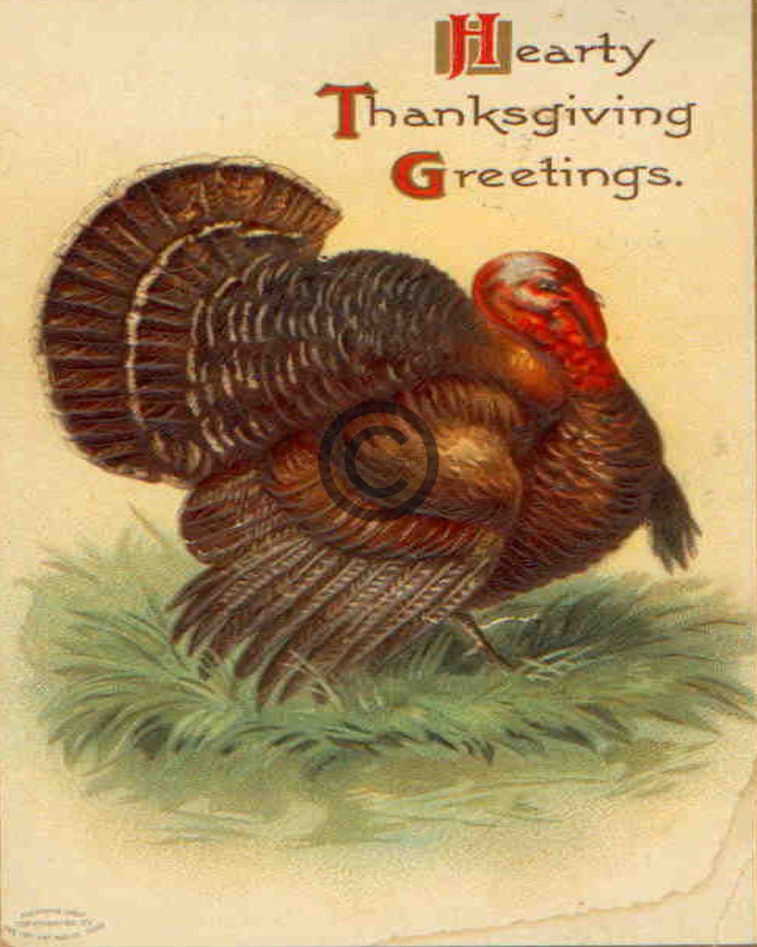 Antique Vintage Thanksgiving Turkey Post Card Digital Download ...