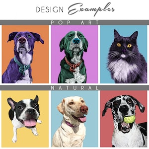 May include: A collage of six images featuring different animals in a pop art and natural style. The top row features a purple dog, a green dog, and a black and white cat. The bottom row features a black and white dog, a yellow dog, and a black and white dog with a tennis ball in its mouth.