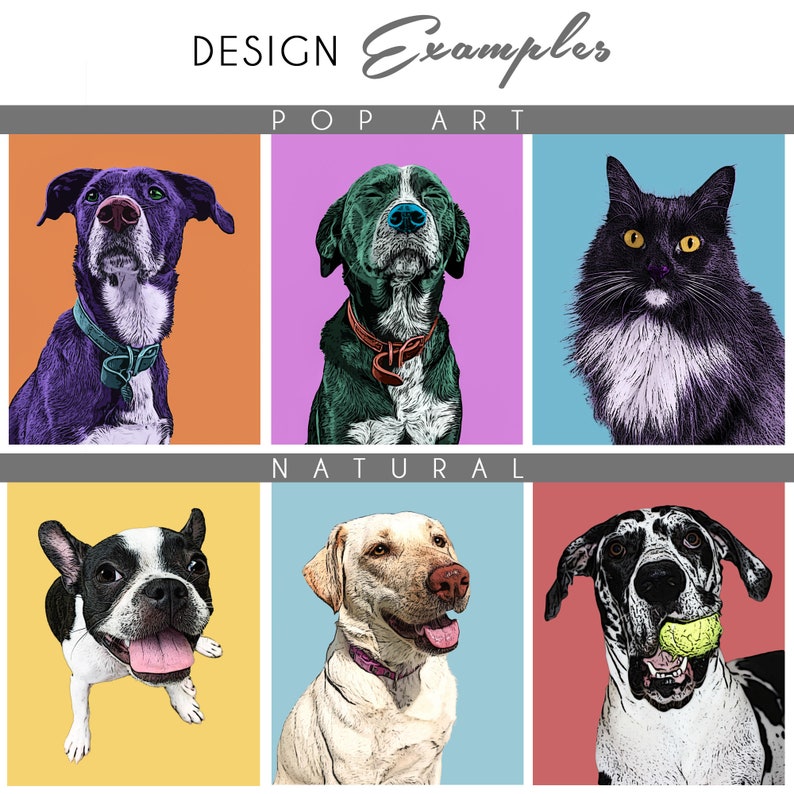 May include: A collage of six images featuring different animals in a pop art and natural style. The top row features a purple dog, a green dog, and a black and white cat. The bottom row features a black and white dog, a yellow dog, and a black and white dog with a tennis ball in its mouth.