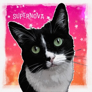 May include: A black and white cat with green eyes looking at the camera. The cat is on a pink and orange background with white stars. The text "SUPERNOVA" is written in white letters on the pink background.