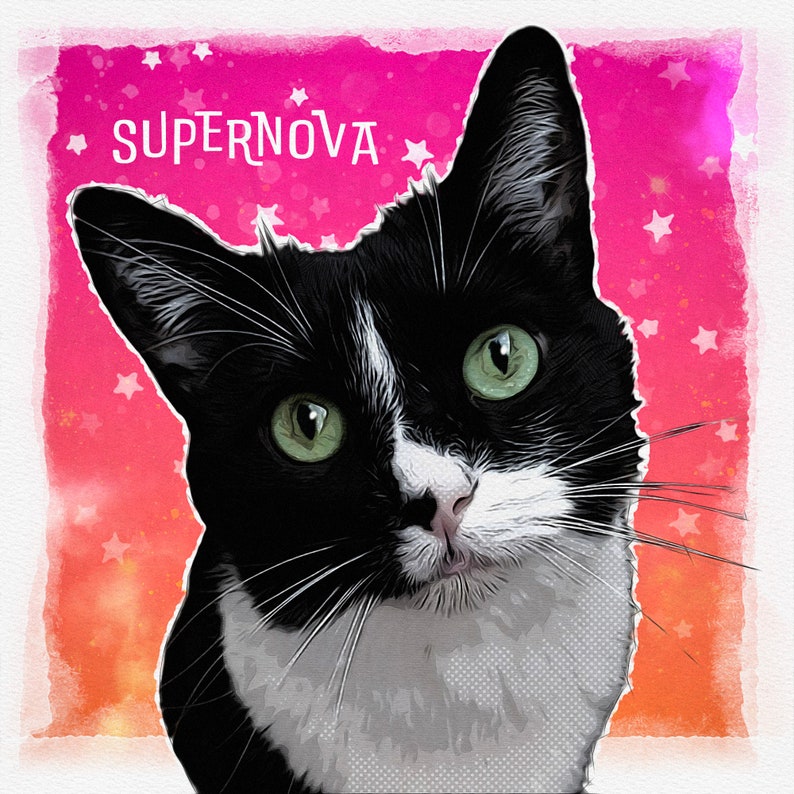 May include: A black and white cat with green eyes looking at the camera. The cat is on a pink and orange background with white stars. The text "SUPERNOVA" is written in white letters on the pink background.