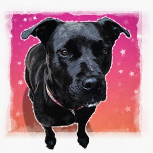Custom Pet Portrait: Pop Art Dog Portrait From Photo (Digital Print)