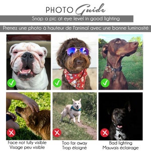 Pode incluir: Um guia fotogr&aacute;fico com exemplos de fotos boas e m&aacute;s de c&atilde;es. O guia mostra como tirar uma foto de um c&atilde;o ao n&iacute;vel dos olhos com boa ilumina&ccedil;&atilde;o. As fotos boas mostram c&atilde;es com seus rostos completamente vis&iacute;veis e em ambientes bem iluminados. As fotos m&aacute;s mostram c&atilde;es com seus rostos parcialmente ocultos ou em ambientes escuros.