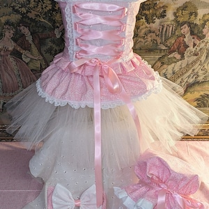 Puede incluir: Un vestido rosa y blanco con un corpiño de encaje y una falda de tul. El vestido tiene una cinta rosa atada alrededor de la cintura y un sombrero rosa a juego.