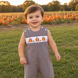 May include: A sleeveless brown and blue plaid romper featuring a white chest panel with embroidered orange pumpkins and green vines. The garment has white buttons at the shoulders and down the front, with a classic round neckline and straight legs.